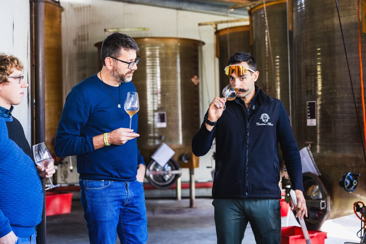 Le vasche di vinificazione nella cantina di Carpaneto Piacentino
