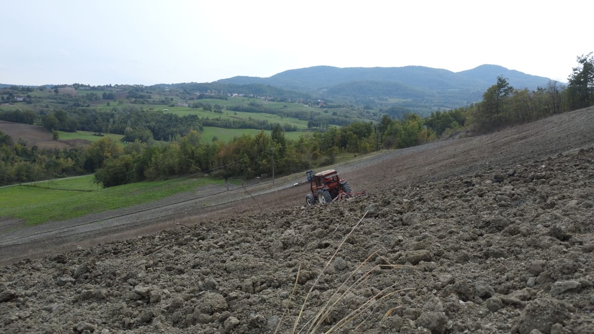 I terreni dell'azienda sulle colline di Carpaneto Piacentino