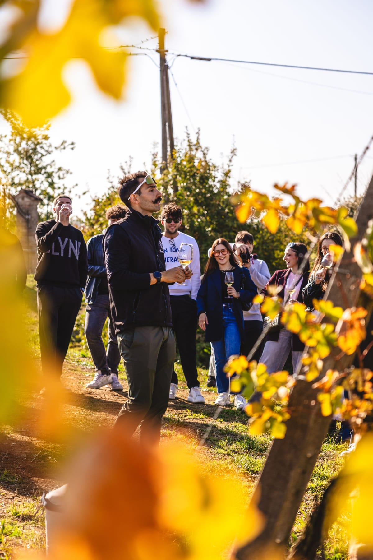 Foglie di vite in autunno